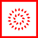 Экспресс-конфорка
