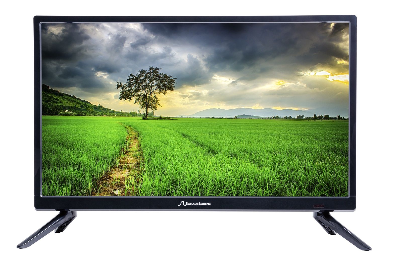 Яркие краски