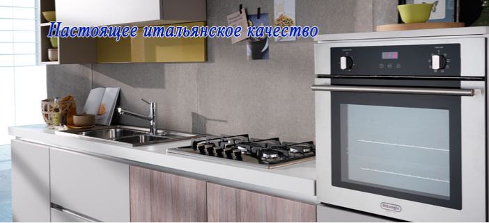 Встраиваемые духовые шкафы Delonghi: гордость любой кухни