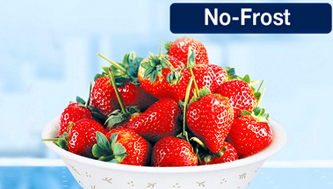 Технология NoFrost